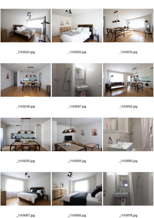 Apartamento Nest - Riehenring 147 Basilea Exterior foto